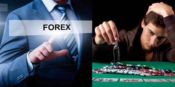 Bạn là một nhà đầu tư forex hay một con bạc?